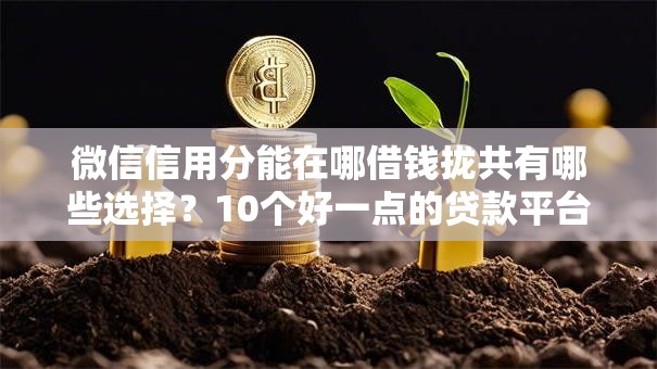 微信信用分能在哪借钱拢共有哪些选择？10个好一点的贷款平台详解