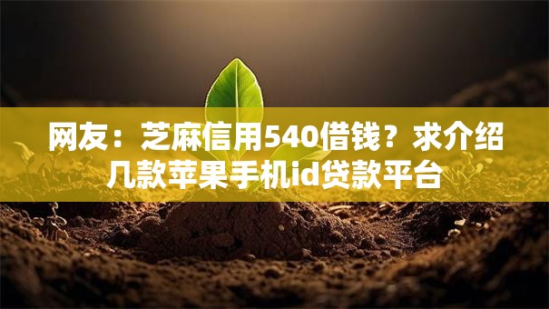网友：芝麻信用540借钱？求介绍几款苹果手机id贷款平台