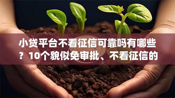 小贷平台不看征信可靠吗有哪些？10个貌似免审批、不看征信的借钱app合集