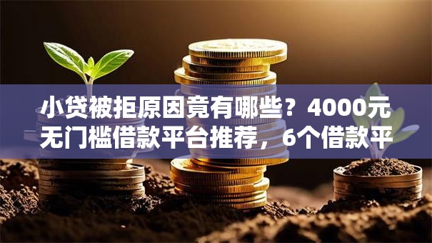 小贷被拒原因竟有哪些？4000元无门槛借款平台推荐，6个借款平台正规容易通过盘点