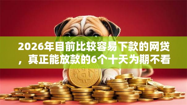 2026年目前比较容易下款的网贷，真正能放款的6个十天为期不看征信借钱平台推荐