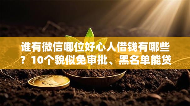 谁有微信哪位好心人借钱有哪些?10个貌似免审批、黑名单能贷款的平台合集 谁有微信哪位好心人借钱有哪些?10个貌似免审批、黑名单能贷款的平台合集