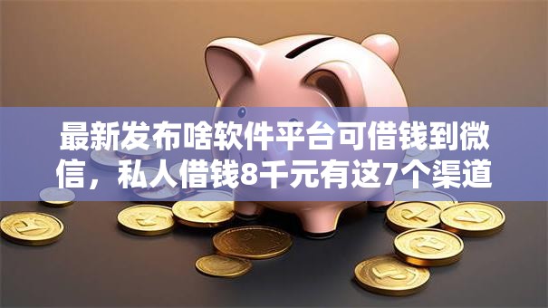 最新发布啥软件平台可借钱到微信，私人借钱8千元有这7个渠道