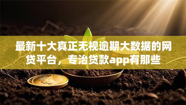 最新十大真正无视逾期大数据的网贷平台，专治贷款app有那些