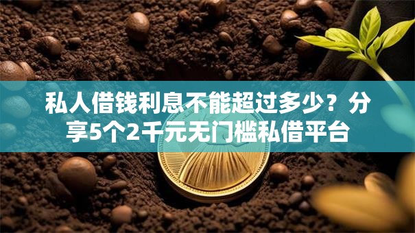 私人借钱利息不能超过多少？分享5个2千元无门槛私借平台