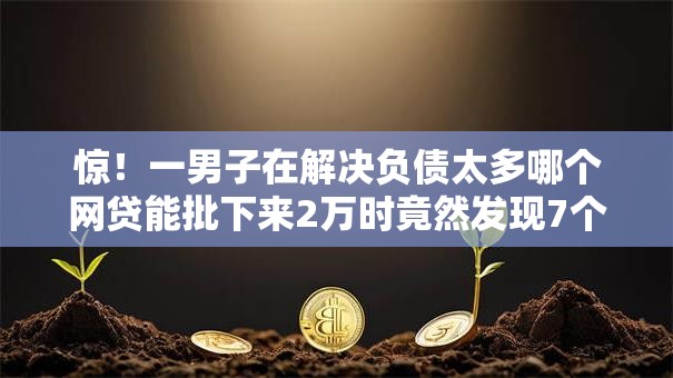 惊！一男子在解决负债太多哪个网贷能批下来2万时竟然发现7个平台借款容易贷款，事后分享了出来