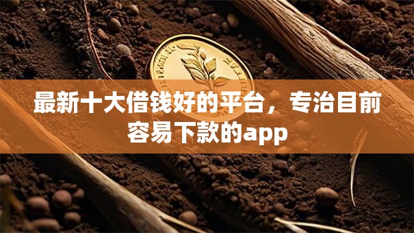 最新十大借钱好的平台，专治目前容易下款的app