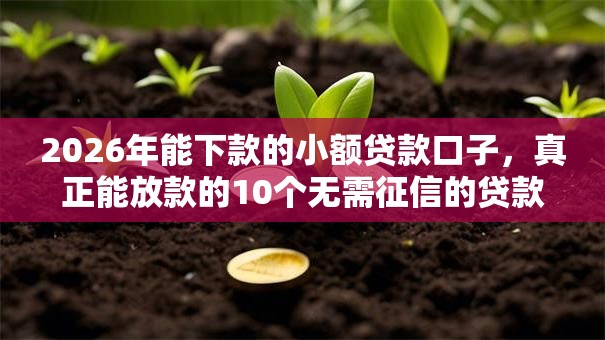 2026年能下款的小额贷款口子,真正能放款的10个无需征信的贷款平台推荐 2026年能下款的小额贷款口子,真正能放款的10个无需征信的贷款平台推荐