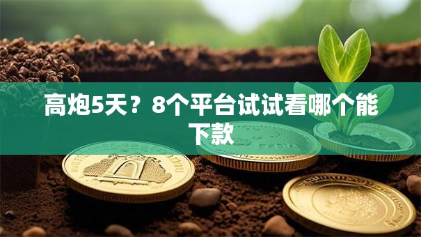 高炮5天？8个平台试试看哪个能下款