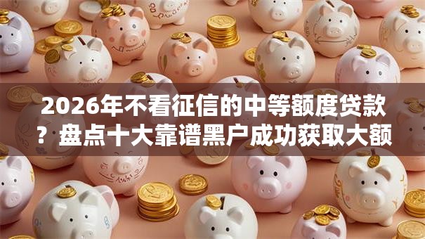 2026年不看征信的中等额度贷款？盘点十大靠谱黑户成功获取大额贷款的平台