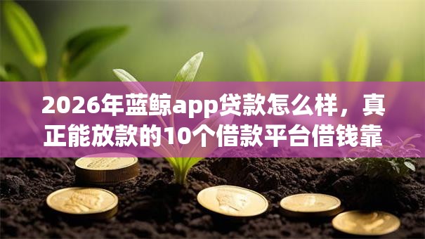 2026年蓝鲸app贷款怎么样，真正能放款的10个借款平台借钱靠谱推荐