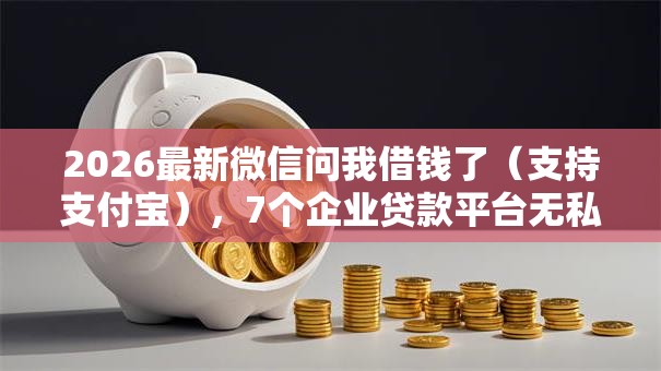 2026最新微信问我借钱了（支持支付宝），7个企业贷款平台无私分享