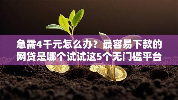 急需4千元怎么办?最容易下款的网贷是哪个试试这5个无门槛平台 急需4千元怎么办?最容易下款的网贷是哪个试试这5个无门槛平台