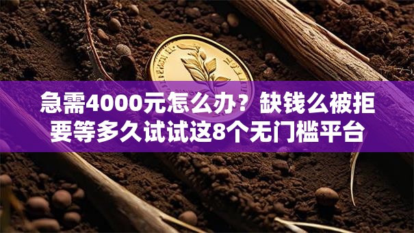 急需4000元怎么办？缺钱么被拒要等多久试试这8个无门槛平台