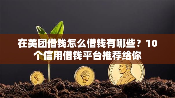 在美团借钱怎么借钱有哪些?10个信用借钱平台推荐给你 在美团借钱怎么借钱有哪些?10个信用借钱平台推荐给你