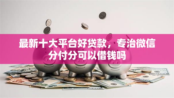 最新十大平台好贷款，专治微信分付分可以借钱吗