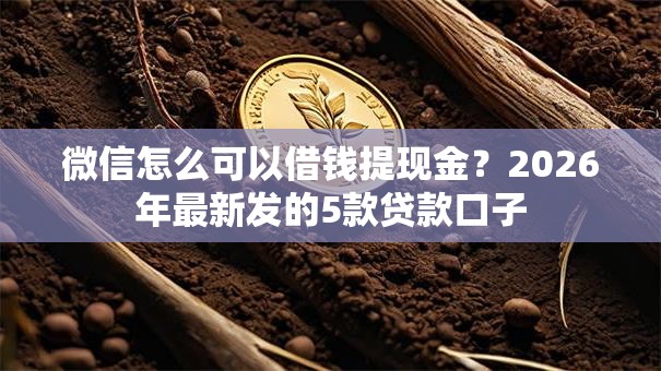 微信怎么可以借钱提现金？2026年最新发的5款贷款口子