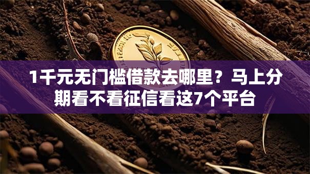 1千元无门槛借款去哪里？马上分期看不看征信看这7个平台