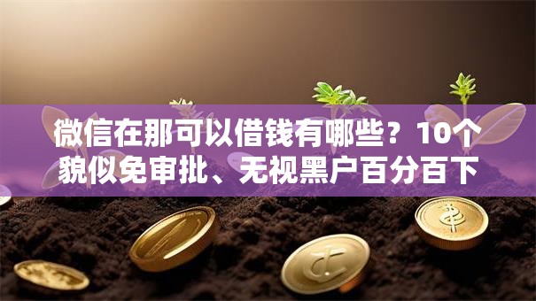 微信在那可以借钱有哪些？10个貌似免审批、无视黑户百分百下款软件合集