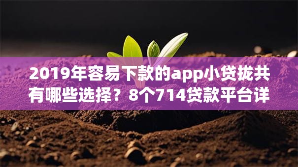 2019年容易下款的app小贷拢共有哪些选择？8个714贷款平台详解