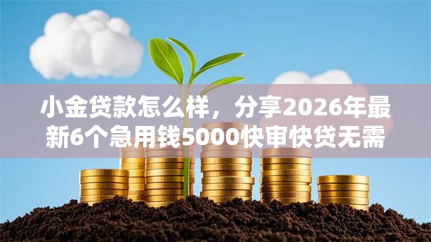 小金贷款怎么样,分享2026年最新6个急用钱5000快审快贷无需征信软件 小金贷款怎么样,分享2026年最新6个急用钱5000快审快贷无需征信软件