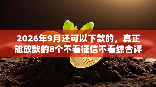 2026年9月还可以下款的,真正能放款的8个不看征信不看综合评估的借款平台推荐 2026年9月还可以下款的,真正能放款的8个不看征信不看综合评估的借款平台推荐