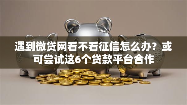 遇到微贷网看不看征信怎么办？或可尝试这6个贷款平台合作