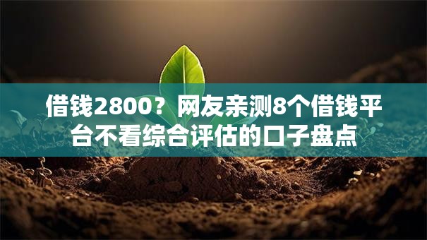 借钱2800？网友亲测8个借钱平台不看综合评估的口子盘点