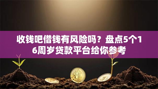 收钱吧借钱有风险吗？盘点5个16周岁贷款平台给你参考