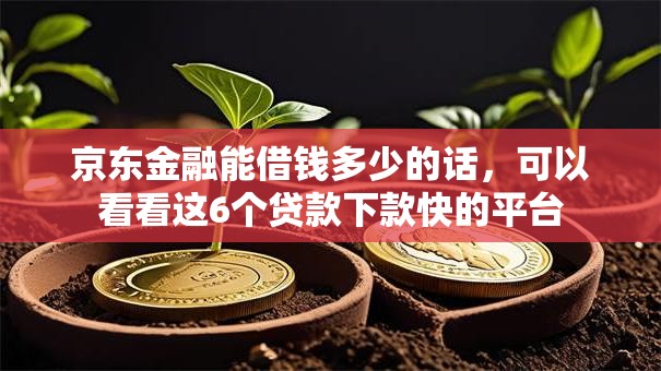 京东金融能借钱多少的话,可以看看这6个贷款下款快的平台 京东金融能借钱多少的话,可以看看这6个贷款下款快的平台