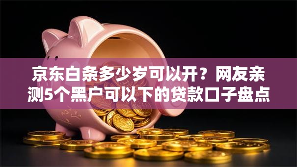 京东白条多少岁可以开？网友亲测5个黑户可以下的贷款口子盘点