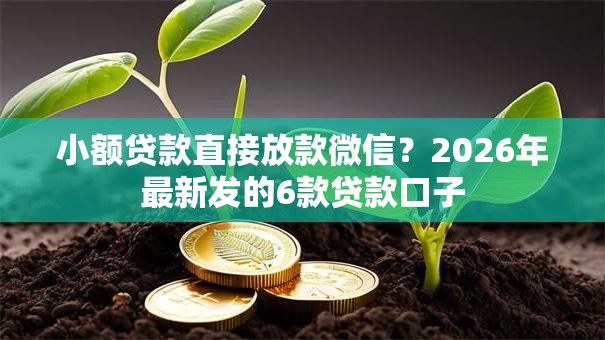 小额贷款直接放款微信?2026年最新发的6款贷款口子 小额贷款直接放款微信?2026年最新发的6款贷款口子
