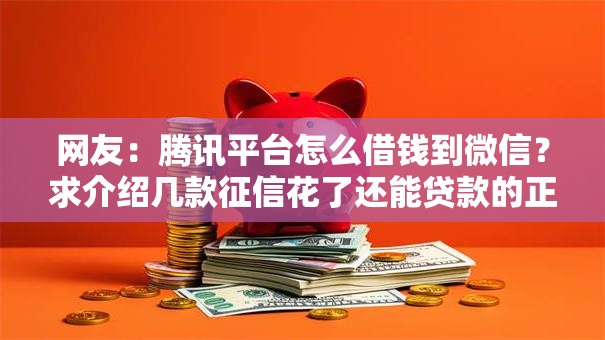 网友：腾讯平台怎么借钱到微信？求介绍几款征信花了还能贷款的正规平台