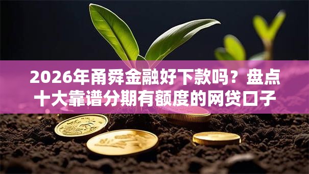 2026年甬舜金融好下款吗？盘点十大靠谱分期有额度的网贷口子