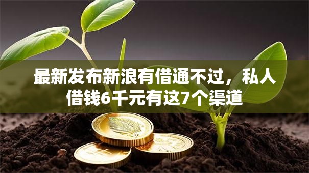 最新发布新浪有借通不过，私人借钱6千元有这7个渠道
