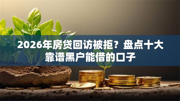 2026年房贷回访被拒？盘点十大靠谱黑户能借的口子