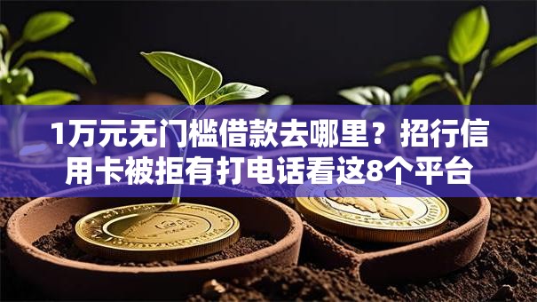 1万元无门槛借款去哪里？招行信用卡被拒有打电话看这8个平台