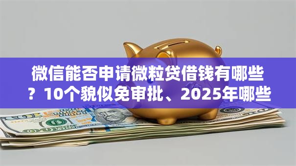 微信能否申请微粒贷借钱有哪些？10个貌似免审批、2025年哪些借款平台不查征信大数据合集