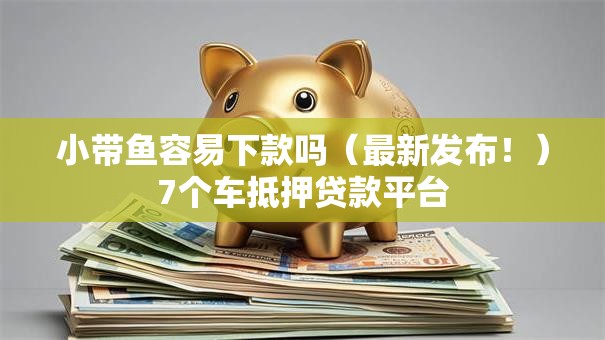 小带鱼容易下款吗（最新发布！）7个车抵押贷款平台