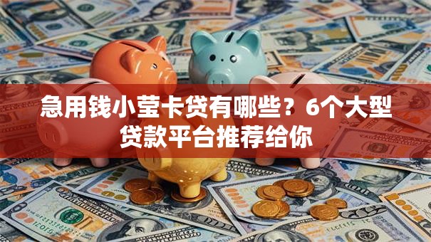 急用钱小莹卡贷有哪些？6个大型贷款平台推荐给你