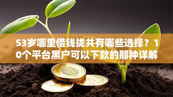 53岁哪里借钱拢共有哪些选择？10个平台黑户可以下款的那种详解