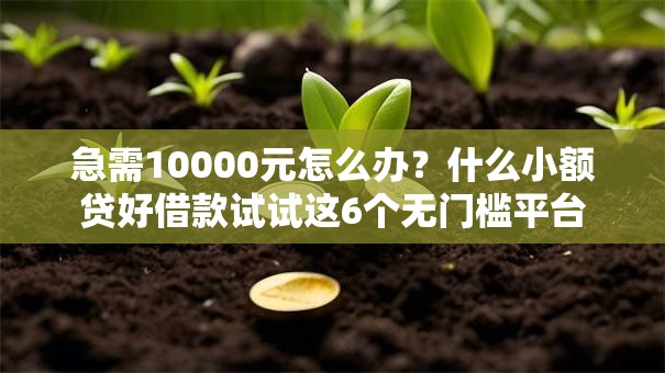 急需10000元怎么办？什么小额贷好借款试试这6个无门槛平台