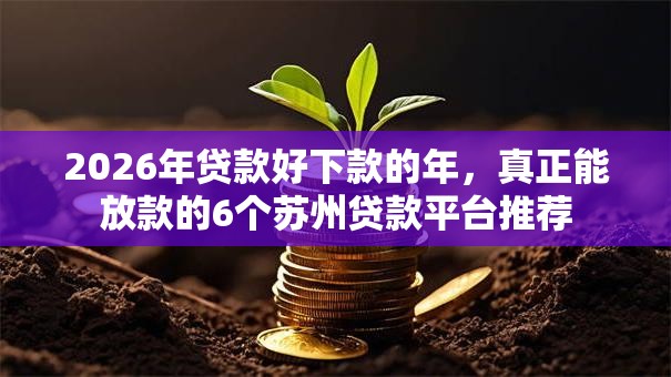 2026年贷款好下款的年，真正能放款的6个苏州贷款平台推荐