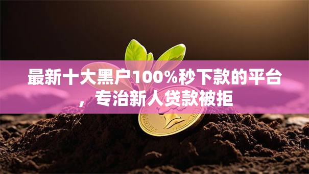 最新十大黑户100%秒下款的平台，专治新人贷款被拒