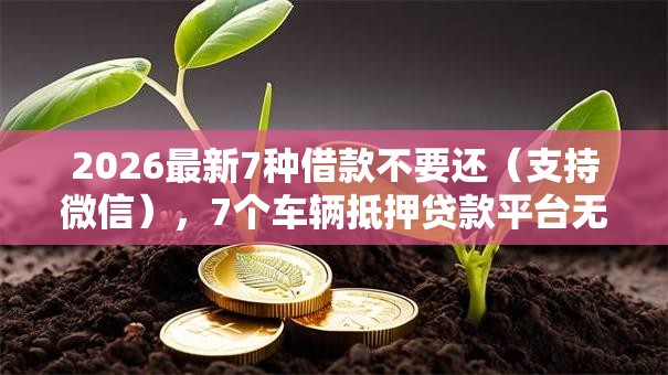2026最新7种借款不要还（支持微信），7个车辆抵押贷款平台无私分享