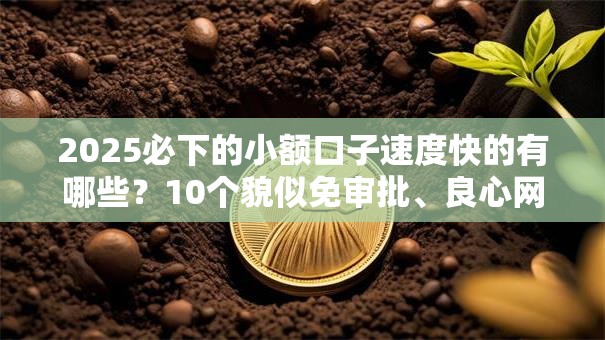 2025必下的小额口子速度快的有哪些？10个貌似免审批、良心网贷平台合集