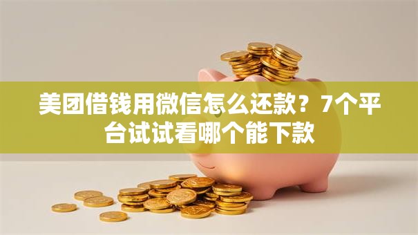 美团借钱用微信怎么还款？7个平台试试看哪个能下款
