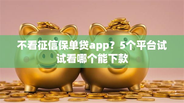 不看征信保单贷app?5个平台试试看哪个能下款 不看征信保单贷app?5个平台试试看哪个能下款