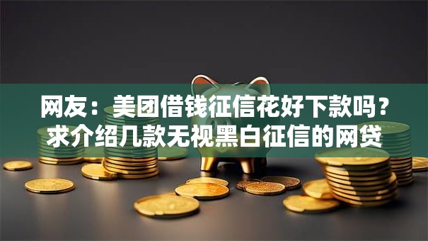 网友：美团借钱征信花好下款吗？求介绍几款无视黑白征信的网贷