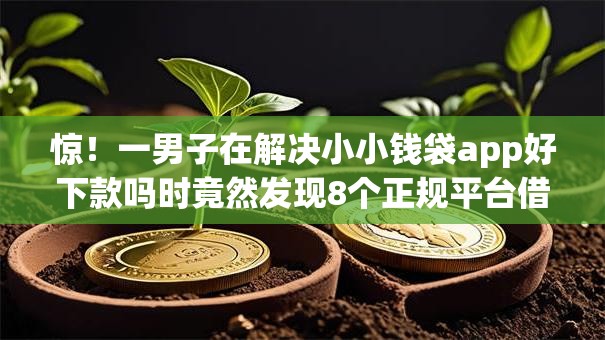 惊！一男子在解决小小钱袋app好下款吗时竟然发现8个正规平台借钱，事后分享了出来